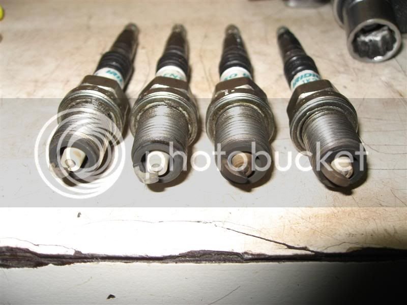 IMG_1012Medium.jpg