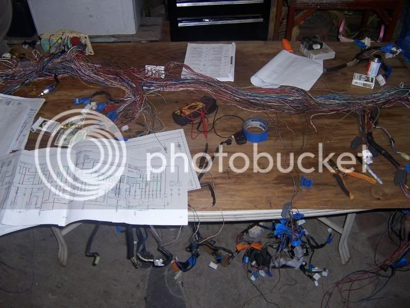 100_8687.jpg