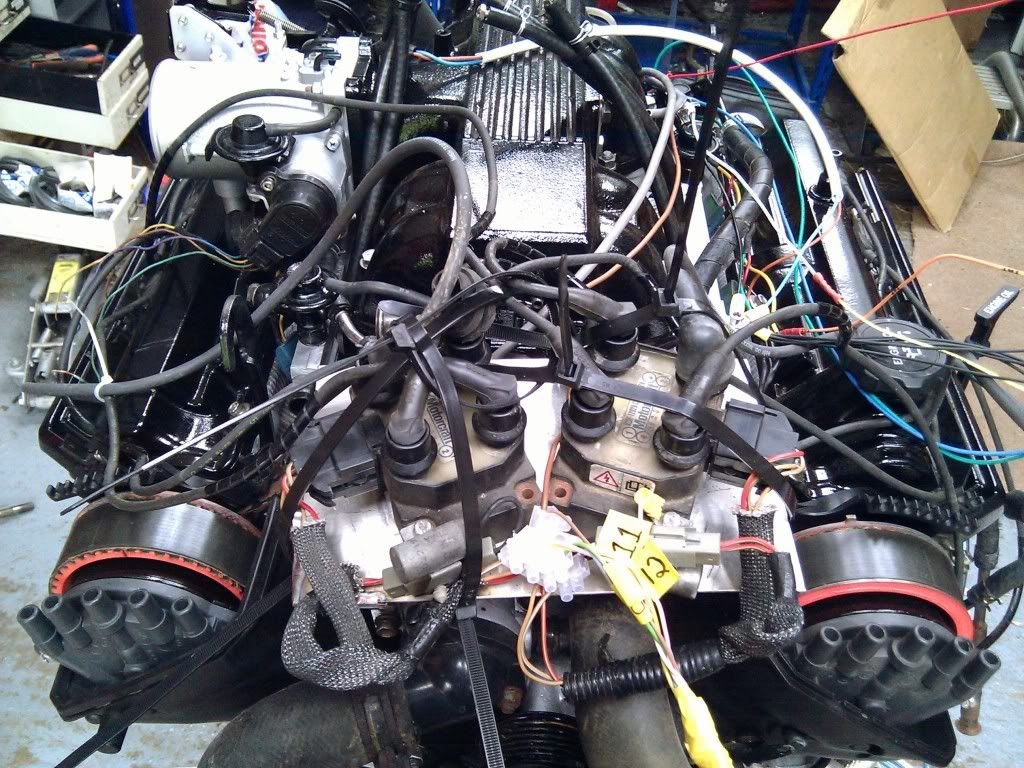 IMG_20110414_150138.jpg