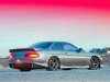 0408tur_soarer11_z.jpg