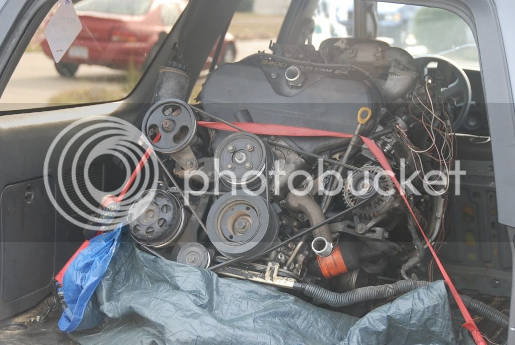 ファッション 通販 | conversion 2UZ-FE 4runner 99 Lexus-Toyota Forums UZFE V8 その他観葉植物