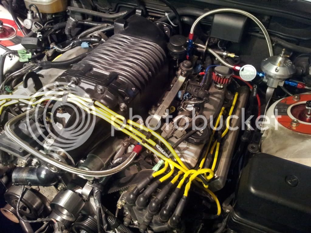 2012-04-29140232.jpg