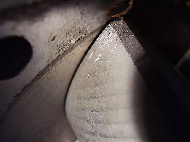 p1260355.jpg