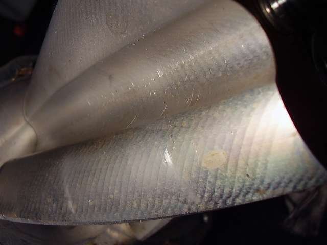 p1260360csx.jpg