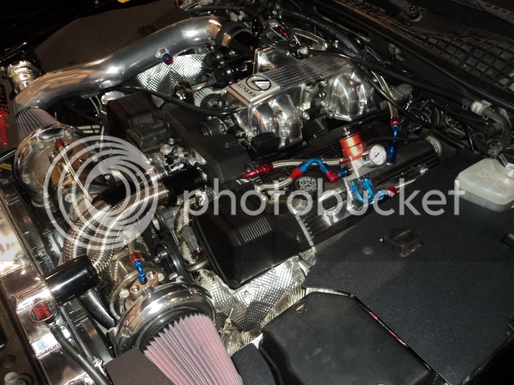 DSC01136_zps03312a1a.jpg