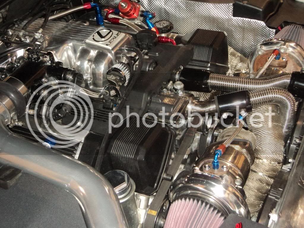 DSC01134_zpse830dc6b.jpg
