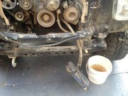 IMG_2710.jpg