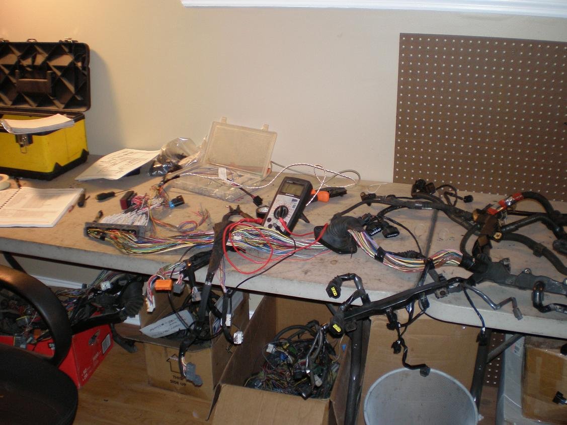 Harness_1.jpg
