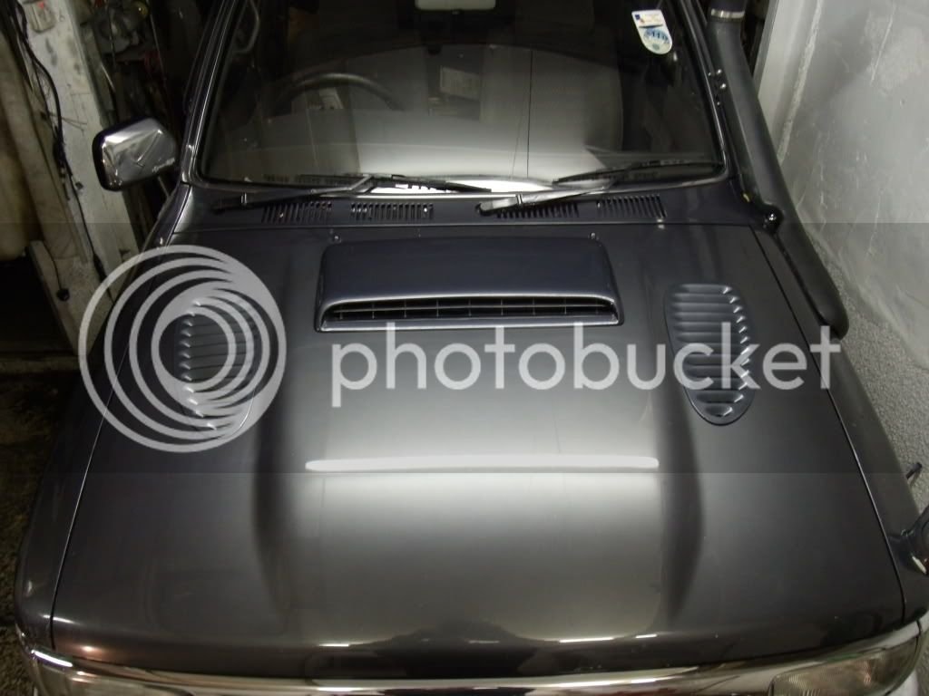 LEXURFVIII03.jpg
