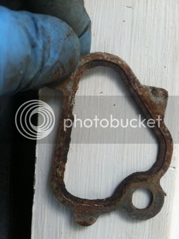 Gasket3.jpg