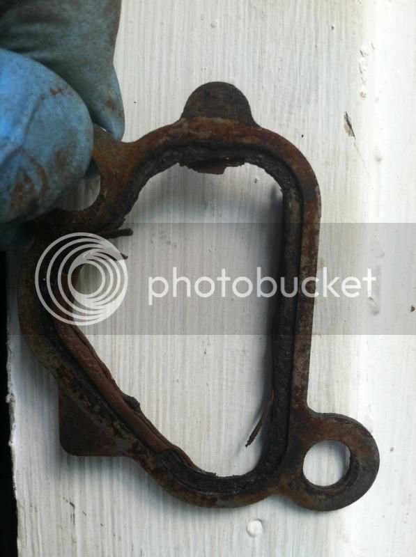 Gasket1.jpg