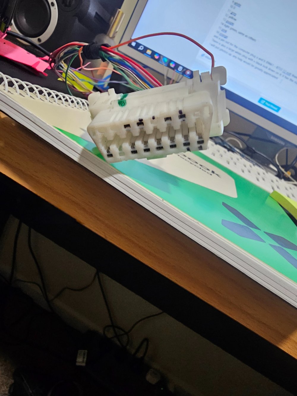 20250913_181817.jpg