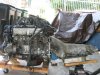 LEVY400 028.jpg