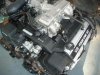 lexus 2.jpg