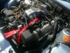 lexus 2.jpg