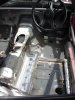 rollcage10.jpg