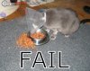 post-5055-120169011532111295.jpg