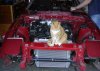 engine-cat.jpg