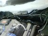 DSC00162.JPG