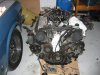 Picture 011.jpg