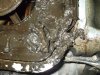 chris sump 026.jpg