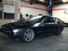latest jan 2010 003.jpg