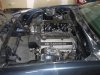 latest jan 2010 004.jpg