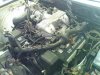 dsc000352.jpg